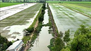 Chủ động ứng phó với xâm nhập mặn, hạn hán