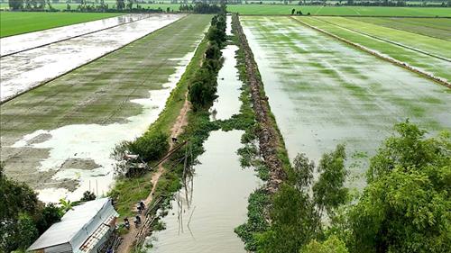 Chủ động ứng phó với xâm nhập mặn, hạn hán