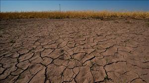 El Nino tiếp tục xảy ra mạnh thêm và có thể kéo dài sang đầu năm 2027