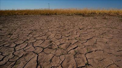 El Nino tiếp tục xảy ra mạnh thêm và có thể kéo dài sang đầu năm 2027