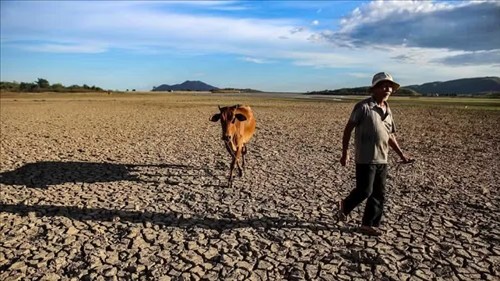 Ứng phó tác động của El Nino
