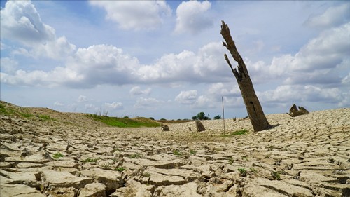 El Nino duy trì ở cường độ rất mạnh, dự báo mùa đông ít ngày rét đậm