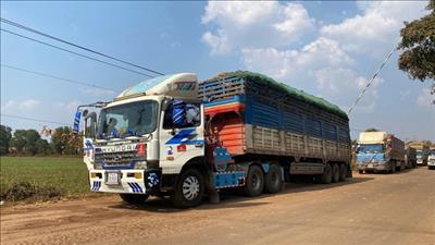 Thủ tướng chỉ đạo khẩn trương gỡ vướng kiểm tra thực phẩm, bảo đảm thông quan kịp thời