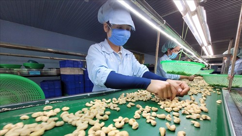 Quy định xác định xuất xứ Việt Nam đối với hàng hóa sản xuất và lưu thông trong nước