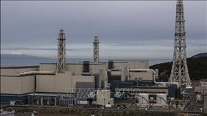 Nhật Bản dự định tái khởi động nhà máy điện hạt nhân lớn nhất thế giới sau 15 năm