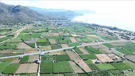 Ráo riết với mục tiêu đưa nhà máy điện hạt nhân đầu tiên đi vào hoạt động sớm