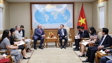 Phó Thủ tướng Hồ Quốc Dũng tiếp lãnh đạo Cơ quan Năng lượng nguyên tử quốc tế
