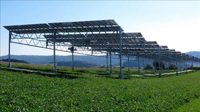 Kết hợp sản xuất nông nghiệp công nghệ cao và điện mặt trời áp mái