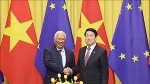 Việt Nam - EU thúc đẩy triển khai thực chất quan hệ Đối tác chiến lược toàn diện
