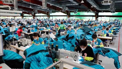 Cơ hội mở rộng thương mại và đầu tư giữa Việt Nam với châu Âu