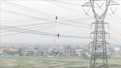 Đẩy nhanh tiến độ các dự án đầu tư xây dựng lưới điện truyền tải trên địa bàn thành phố Hà Nội