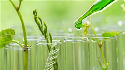 Áp dụng nguyên tắc hóa học xanh trong thiết kế và lựa chọn công nghệ, thiết bị