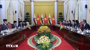 Tăng cường hiệu quả quan hệ Đối tác toàn diện Việt Nam - Brunei
