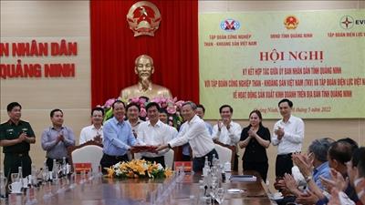 EVNNPC đảm bảo nguồn điện cho tỉnh Quảng Ninh