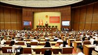 Khẩn trương đưa Nghị quyết về phát triển kinh tế tư nhân vào cuộc sống