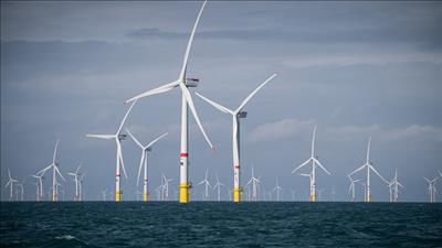 EVN và doanh nghiệp Đan Mạch trao đổi về hợp tác trong lĩnh vực năng lượng sạch
