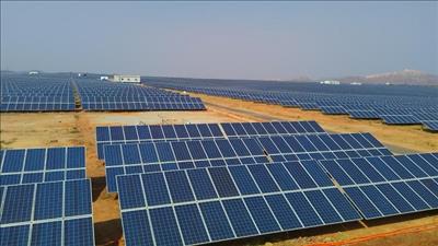 ASEAN - Ấn Độ thúc đẩy hợp tác về năng lượng tái tạo