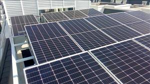 Hải Phòng quy định các dự án tạo tín chỉ carbon ưu tiên thực hiện