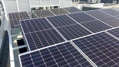 Hải Phòng quy định các dự án tạo tín chỉ carbon ưu tiên thực hiện