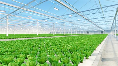 Khai mạc Hội nghị Hữu cơ châu Á lần thứ 8