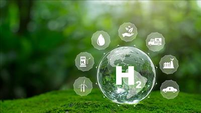 Bàn giải pháp phát triển dự án hydro xanh ở Bến Tre và Trà Vinh