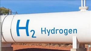 Brazil phát triển màng sinh học phân hủy từ vỏ hải sản để sản xuất hydro xanh