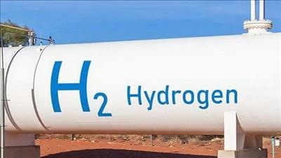 Brazil phát triển màng sinh học phân hủy từ vỏ hải sản để sản xuất hydro xanh