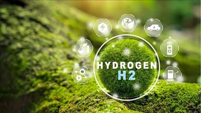 Thảo luận về các định hướng phát triển của ngành công nghiệp hydrogen xanh