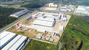 Chuyển đổi xanh các khu công nghiệp tại TPHCM hướng tới mục tiêu Net Zero