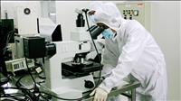 Xây dựng chính sách đãi ngộ đặc biệt để thu hút 100 chuyên gia hàng đầu về nước làm việc