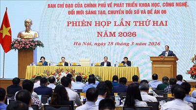 Thủ tướng chủ trì họp Ban Chỉ đạo về phát triển khoa học, công nghệ, chuyển đổi số