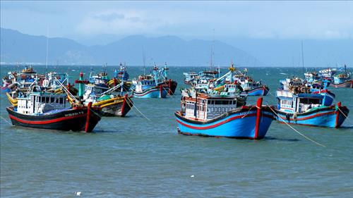 Tập trung thực hiện tháng cao điểm chống khai thác IUU, phát triển bền vững ngành thủy sản