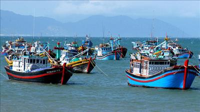 Kiện toàn Ban Chỉ đạo quốc gia về IUU