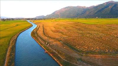 Thí điểm thủ tục chuyển mục đích sử dụng đất trồng lúa quy mô dưới 500ha tại Khánh Hòa