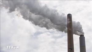 Giải mã vai trò quan trọng của thị trường carbon EU