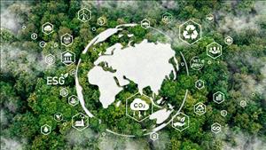 UNDP đồng hành cùng Việt Nam trong huy động tài chính khí hậu, thúc đẩy chuyển dịch năng lượng