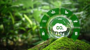 Đánh giá kết quả triển khai NDC 2022, định hướng mục tiêu giảm phát thải cho giai đoạn mới