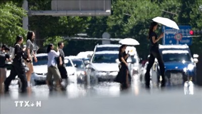 Hội nghị COP31 tập trung vào thực thi các chính sách khí hậu
