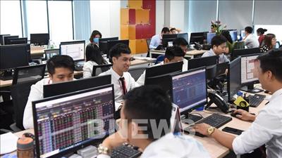 Danh mục cổ phiếu cần quan tâm ngày 29/12