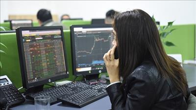 Danh mục cổ phiếu cần quan tâm ngày 12/1