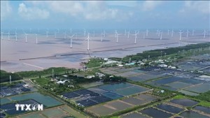 Điện gió ngoài khơi Việt Nam: Cơ hội hợp tác đầu tư với Na Uy