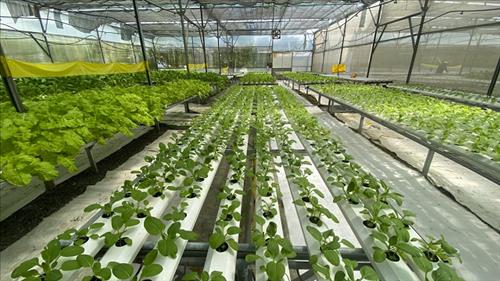 Phát động cuộc thi Dự án khởi nghiệp xanh năm 2025