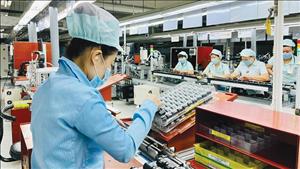 ADB: Kinh tế Việt Nam tăng trưởng vững vàng trong bối cảnh bất ổn toàn cầu