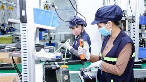 WB dự báo tăng trưởng kinh tế Việt Nam sẽ đạt 5,5% vào năm 2024