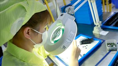 Báo Thụy Sĩ đánh giá tiềm năng phát triển kinh tế của Việt Nam