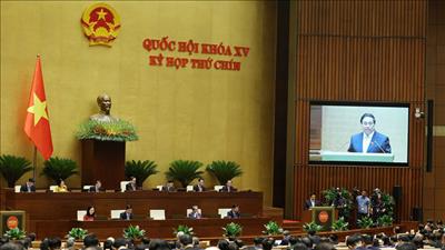 Kinh tế Việt Nam: 