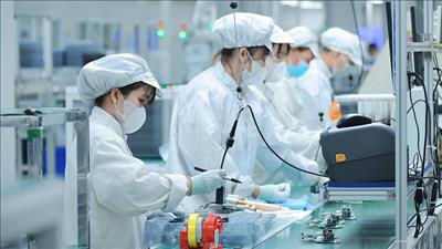 Thành lập Ban chỉ đạo quốc gia triển khai nghị quyết của Bộ Chính trị về phát triển kinh tế tư nhân