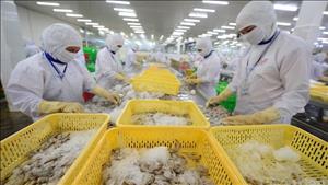 Doanh nghiệp châu Âu vững tin vào triển vọng dài hạn của Việt Nam