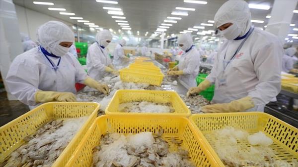Doanh nghiệp châu Âu vững tin vào triển vọng dài hạn của Việt Nam