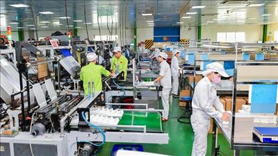 ADB: Kinh tế Việt Nam được kỳ vọng vẫn sẽ vững vàng trong năm 2025 và 2026